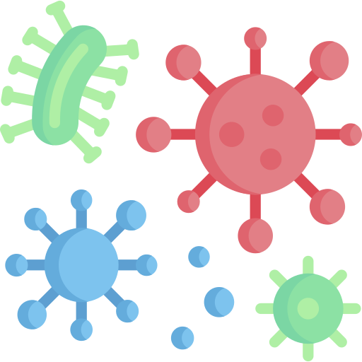 How are viruses named?