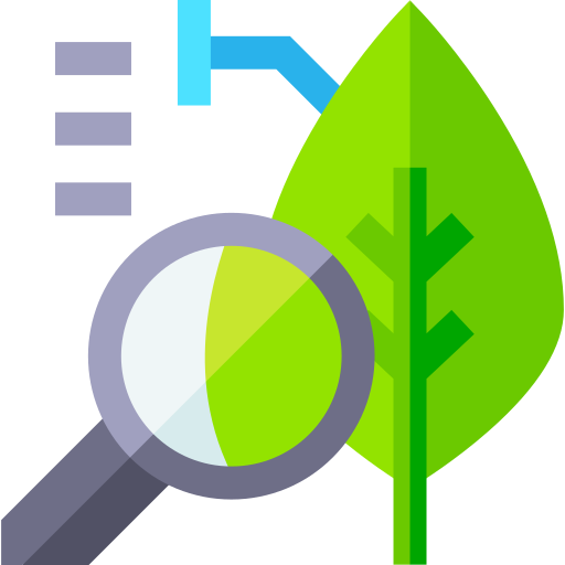 What are the three types of botany?