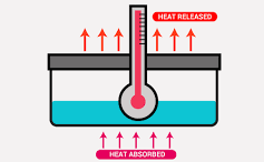  Enthalpy of Combustion